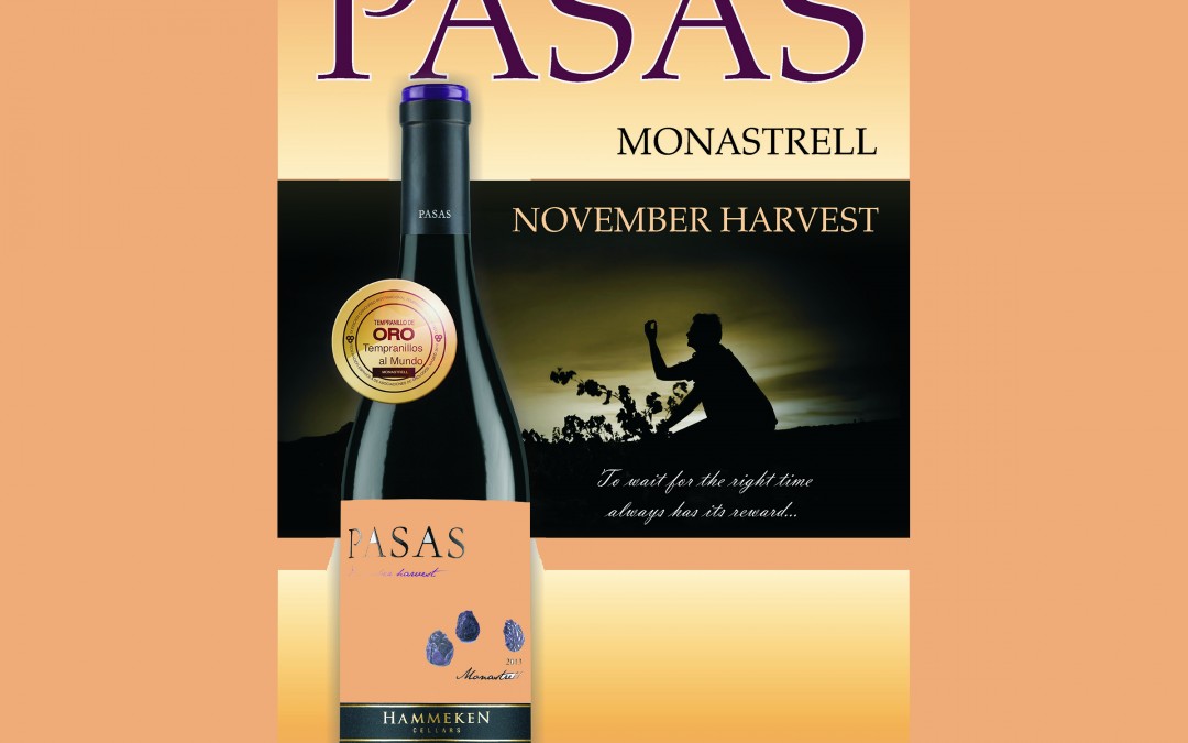 nieuw 22-10 Pasas