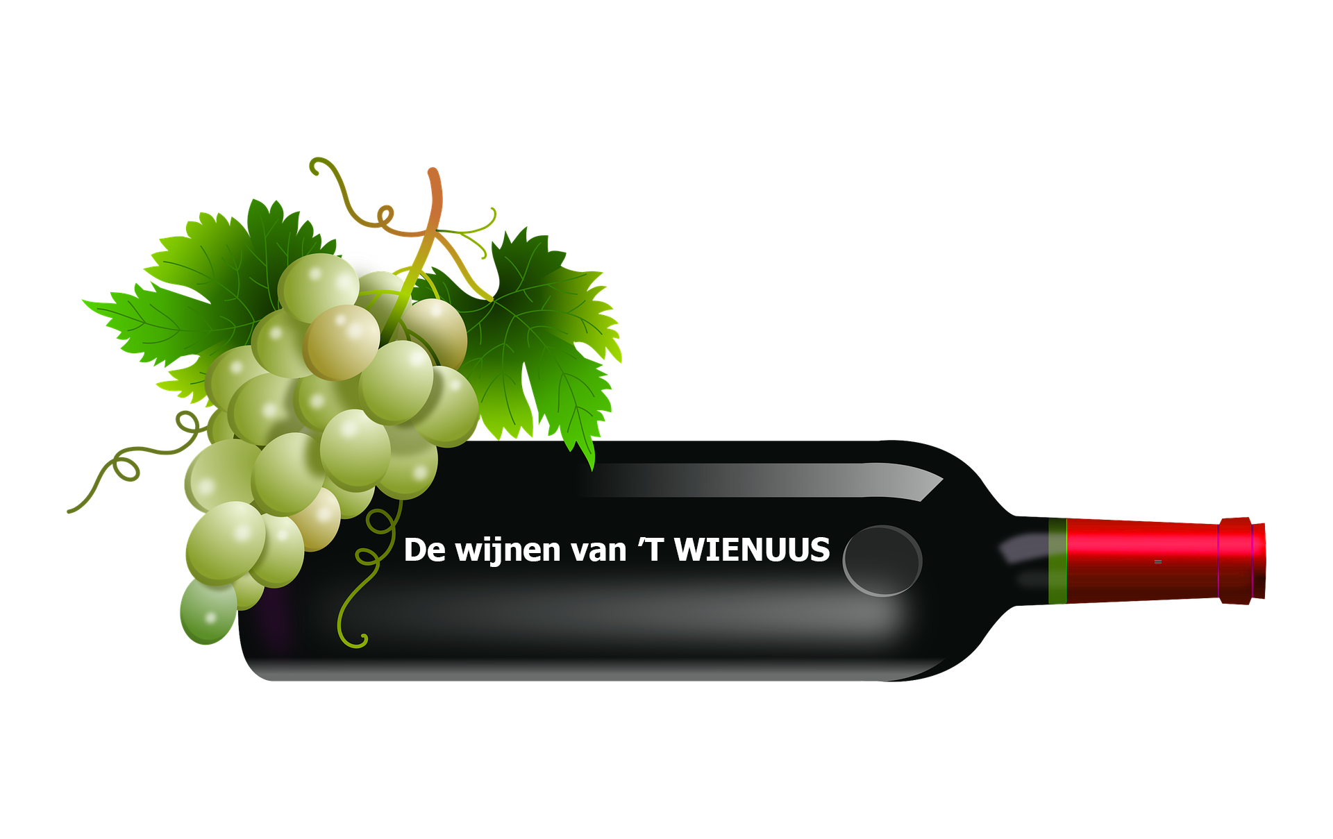 Wienuus